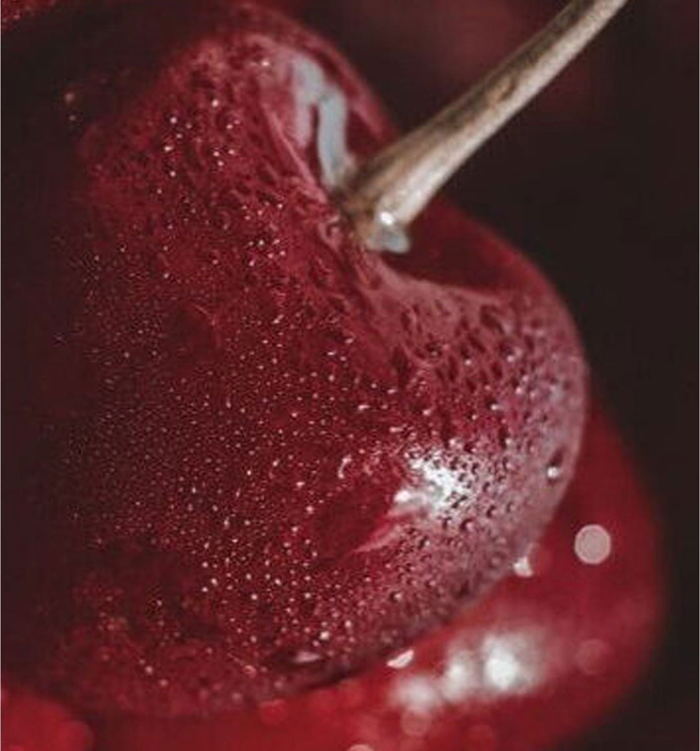COLORETE EN BÁLSAMO - SWEET CHERRY
