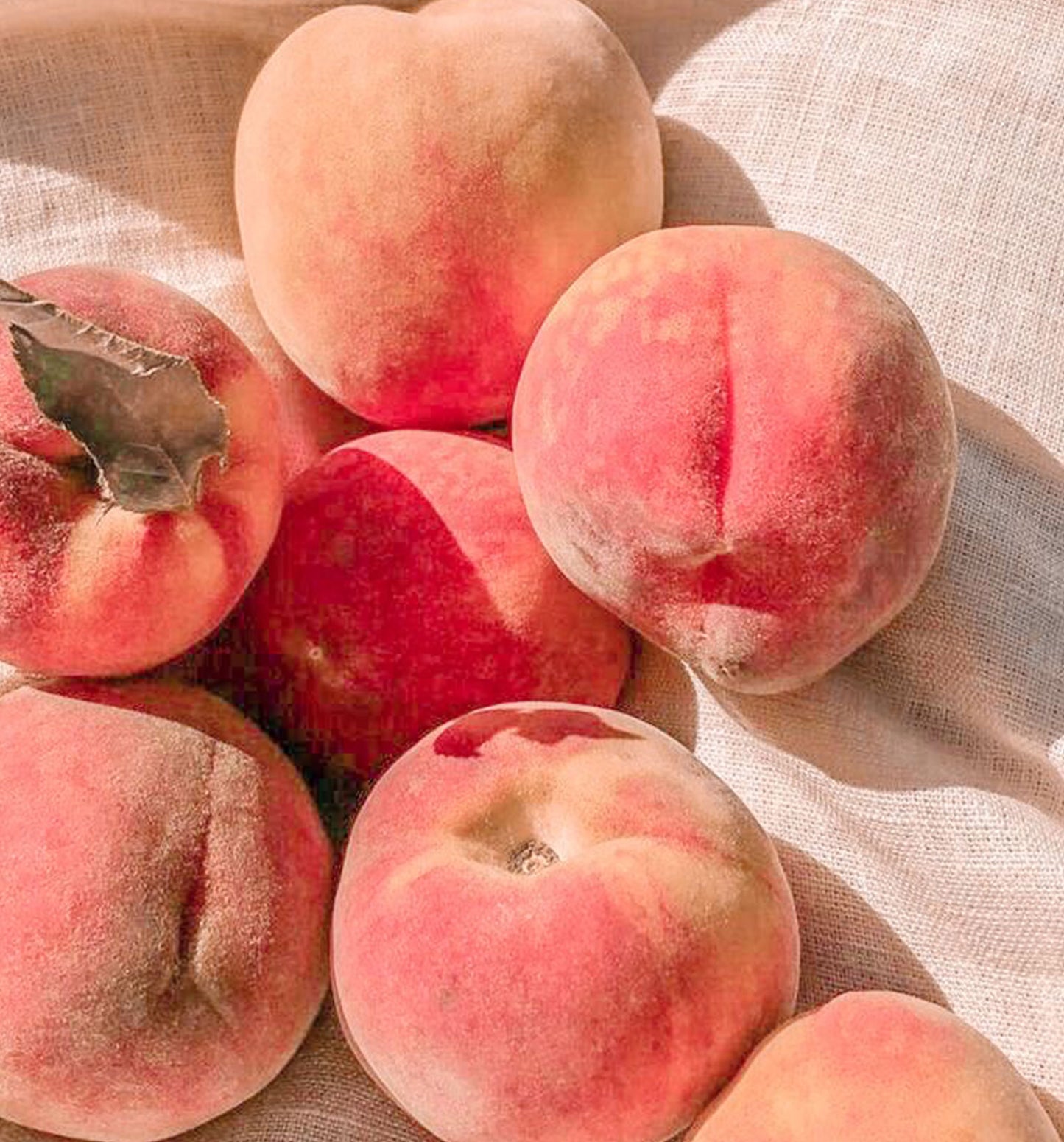COLORETE EN BÁLSAMO - SOFT PEACH
